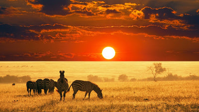 Top destinos turísticos de África